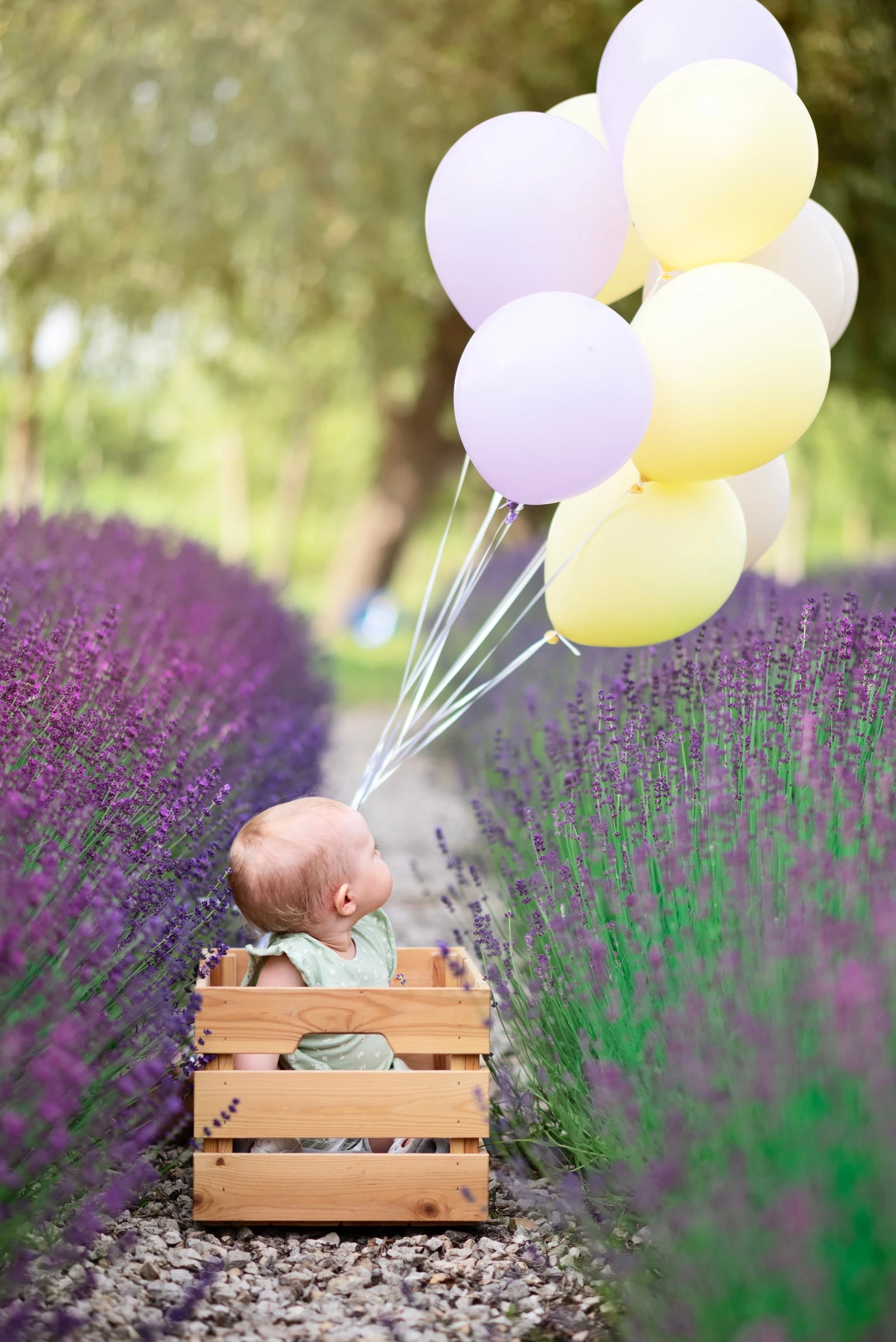 Gyermek fotó 16 – Lilla Popovics fotós Budapest